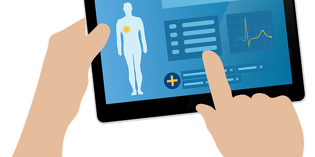 ehr-1476525_640